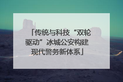 传统与科技“双轮驱动”冰城公安构建现代警务新体系