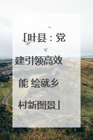 叶县：党建引领高效能 绘就乡村新图景