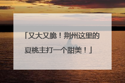 又大又脆！荆州这里的夏桃主打一个甜美！
