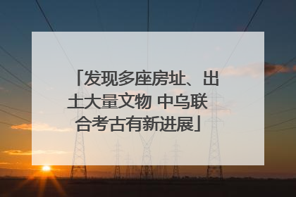 发现多座房址、出土大量文物 中乌联合考古有新进展