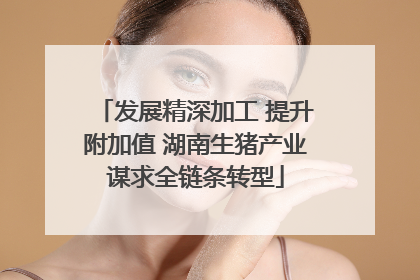 发展精深加工 提升附加值 湖南生猪产业谋求全链条转型