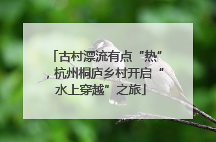 古村漂流有点“热”，杭州桐庐乡村开启“水上穿越”之旅