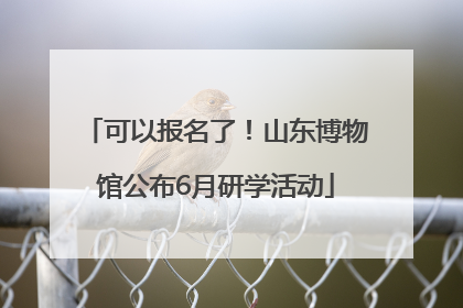 可以报名了！山东博物馆公布6月研学活动