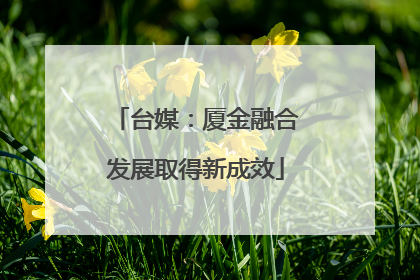 台媒：厦金融合发展取得新成效
