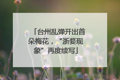 台州乱弹开出首朵梅花，“浙婺现象”再度续写