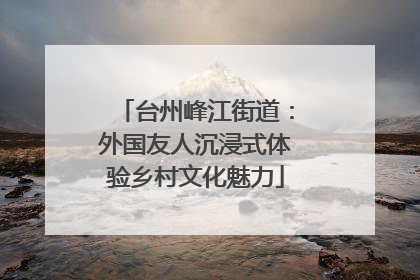 台州峰江街道：外国友人沉浸式体验乡村文化魅力