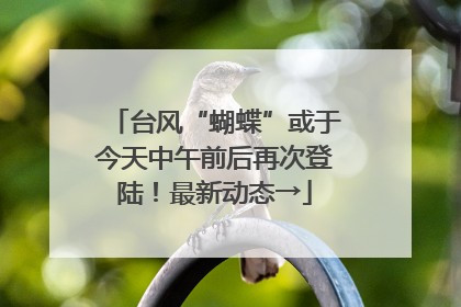 台风“蝴蝶”或于今天中午前后再次登陆！最新动态→