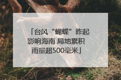 台风“蝴蝶”昨起影响海南 局地累积雨量超500毫米