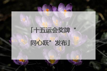 十五运会奖牌“同心跃”发布