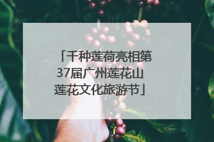 千种莲荷亮相第37届广州莲花山莲花文化旅游节