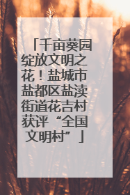 千亩葵园绽放文明之花！盐城市盐都区盐渎街道花吉村获评“全国文明村”