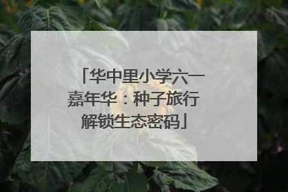 华中里小学六一嘉年华：种子旅行解锁生态密码