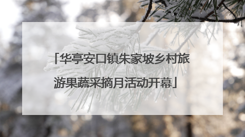 华亭安口镇朱家坡乡村旅游果蔬采摘月活动开幕