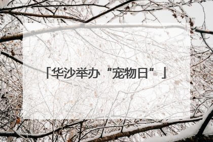 华沙举办“宠物日”