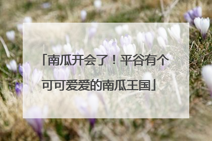 南瓜开会了！平谷有个可可爱爱的南瓜王国
