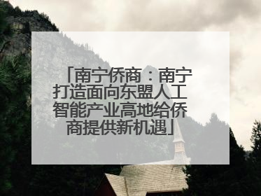 南宁侨商：南宁打造面向东盟人工智能产业高地给侨商提供新机遇