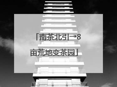 南茶北引→8亩荒地变茶园