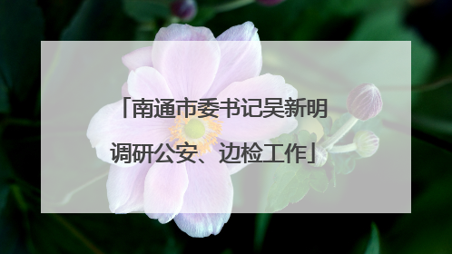 南通市委书记吴新明调研公安、边检工作