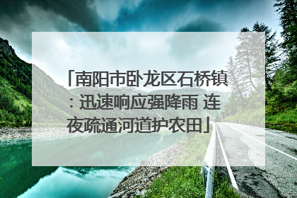 南阳市卧龙区石桥镇：迅速响应强降雨 连夜疏通河道护农田