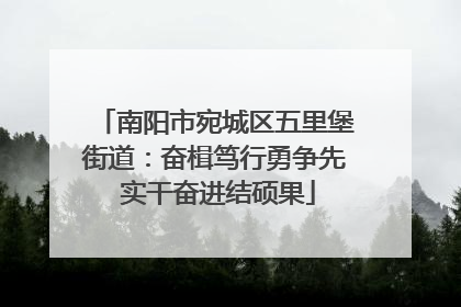 南阳市宛城区五里堡街道：奋楫笃行勇争先 实干奋进结硕果