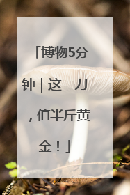 博物5分钟｜这一刀，值半斤黄金！