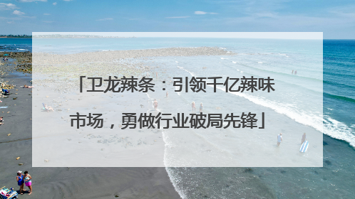 卫龙辣条：引领千亿辣味市场，勇做行业破局先锋