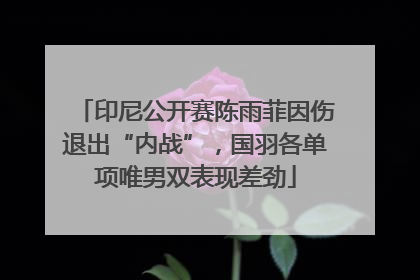 印尼公开赛陈雨菲因伤退出“内战”，国羽各单项唯男双表现差劲