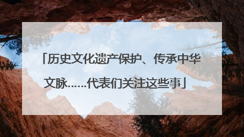 历史文化遗产保护、传承中华文脉……代表们关注这些事