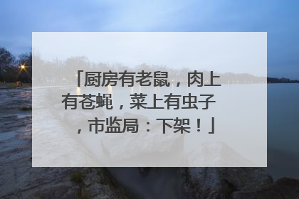 厨房有老鼠，肉上有苍蝇，菜上有虫子，市监局：下架！