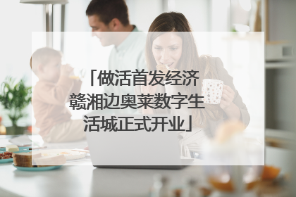 做活首发经济 赣湘边奥莱数字生活城正式开业
