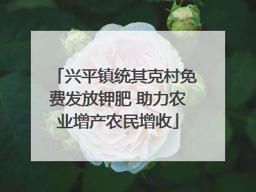 兴平镇统其克村免费发放钾肥 助力农业增产农民增收