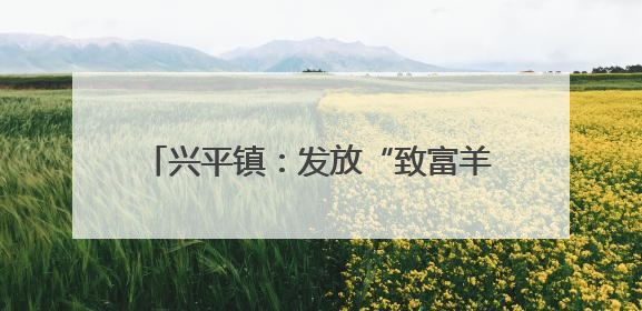 兴平镇：发放“致富羊”助力乡村振兴启新程