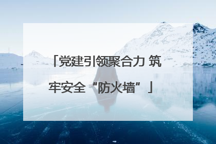 党建引领聚合力 筑牢安全“防火墙”