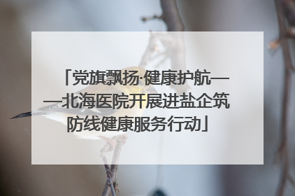 党旗飘扬·健康护航——北海医院开展进盐企筑防线健康服务行动