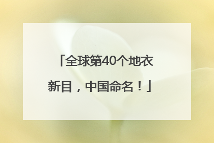 全球第40个地衣新目，中国命名！
