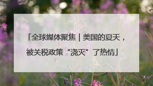 全球媒体聚焦｜美国的夏天，被关税政策“浇灭”了热情