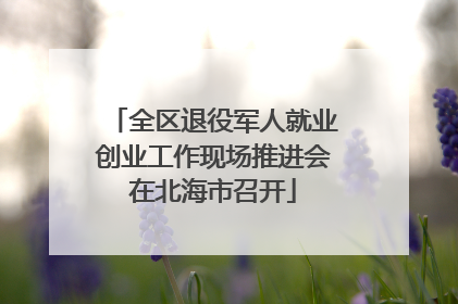 全区退役军人就业创业工作现场推进会在北海市召开