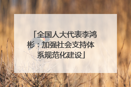 全国人大代表李鸿彬：加强社会支持体系规范化建设