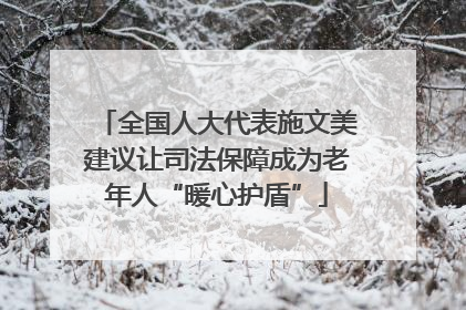 全国人大代表施文美建议让司法保障成为老年人“暖心护盾”
