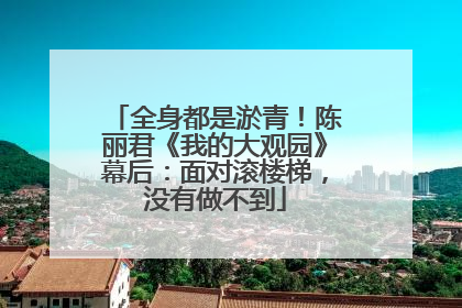 全身都是淤青！陈丽君《我的大观园》幕后：面对滚楼梯，没有做不到