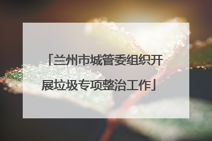 兰州市城管委组织开展垃圾专项整治工作