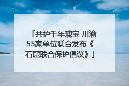 共护千年瑰宝 川渝55家单位联合发布《石窟联合保护倡议》