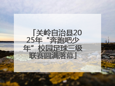 关岭自治县2025年“奔跑吧少年”校园足球三级联赛圆满落幕