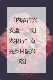 内蒙古兴安盟：“阳光银行”点亮乡村振兴路