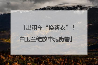 出租车“换新衣”！白玉兰绽放申城街巷