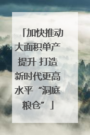 加快推动大面积单产提升 打造新时代更高水平“洞庭粮仓”