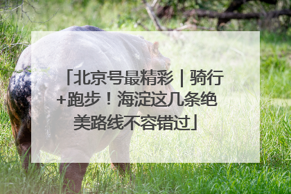 北京号最精彩｜骑行+跑步！海淀这几条绝美路线不容错过