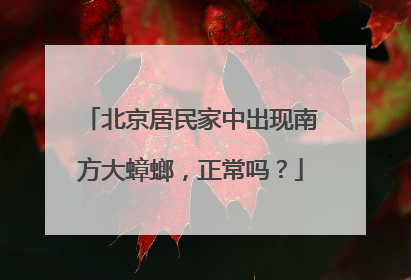 北京居民家中出现南方大蟑螂，正常吗？