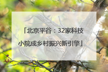 北京平谷：32家科技小院成乡村振兴新引擎