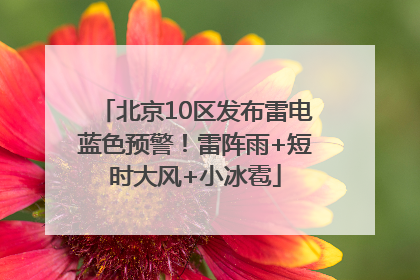 北京10区发布雷电蓝色预警！雷阵雨+短时大风+小冰雹